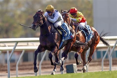 2014 馬|2014年浪琴表世界馬匹年終排名